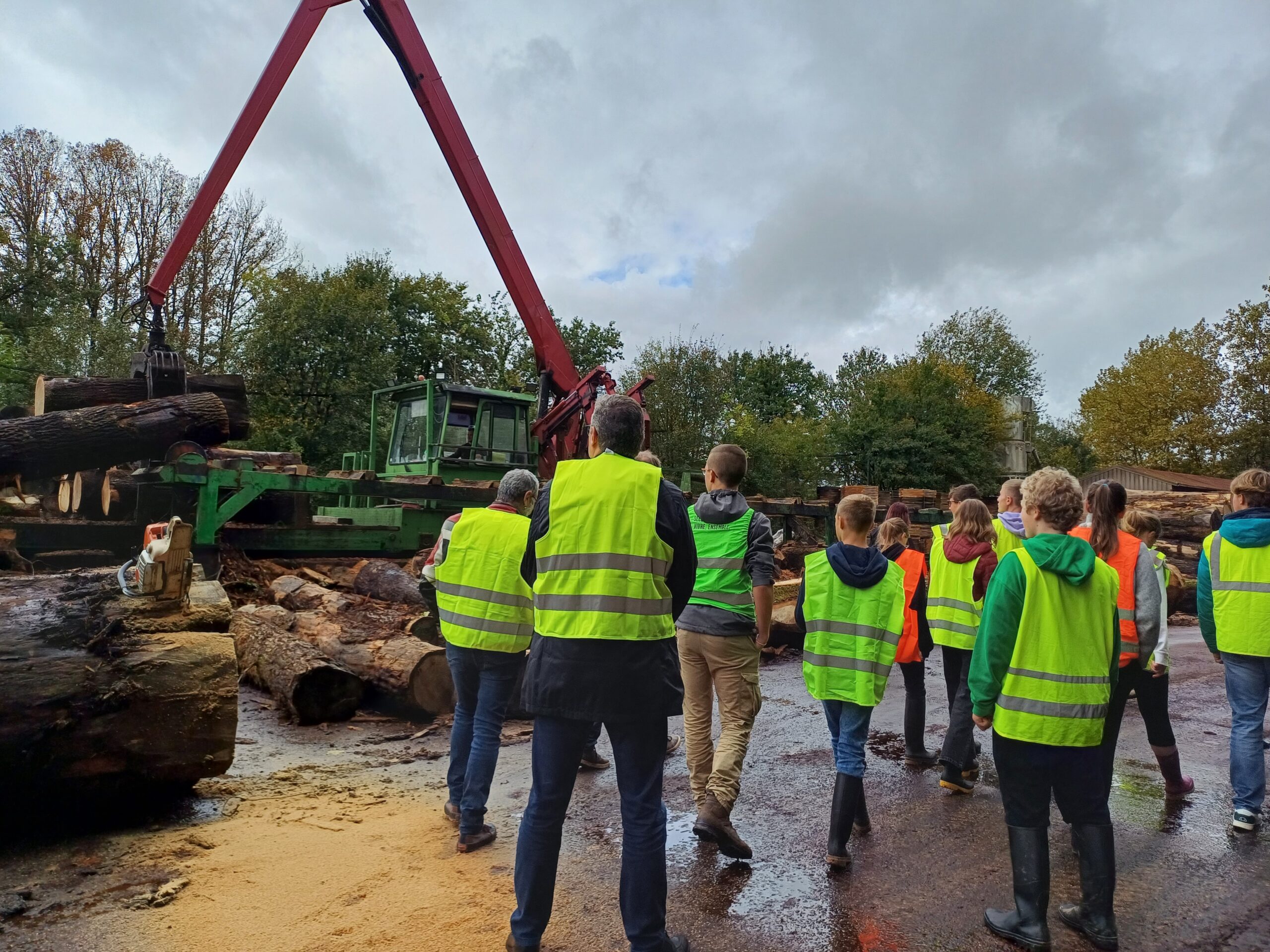 Au premier plan, des élèves de 3èmes et quelques adultes ont des gilets jaunes fluorescents. Ils regardent à l'arrière plan l'engin qui bouge des grumes de bois. Au sol, il y a d'autres grumes de bois et de la sciure