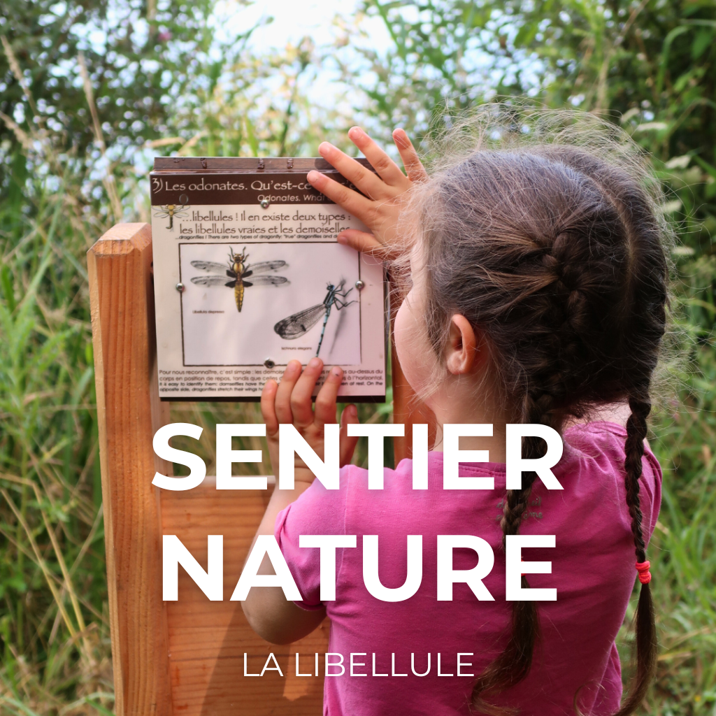 sentier nature - la libellule